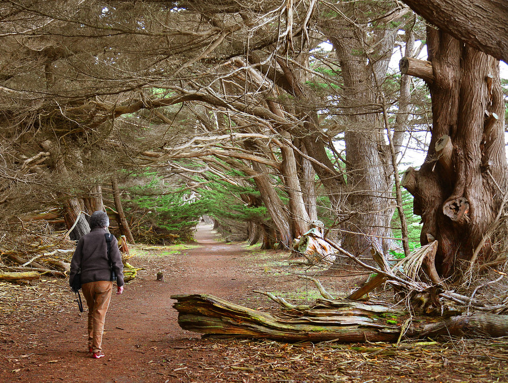 Cypress Trail Hideout