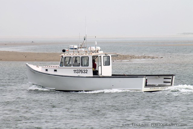 Chatham Ma Commercial Lobster Boat FV Wildwood  - Christopher LeClaire Photography 2012