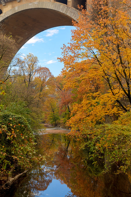 Fall Under The Bridge