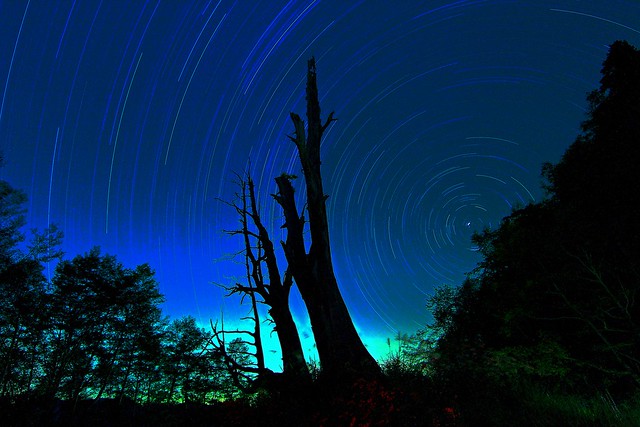 Star Trails over Fuqi Tree (Elevation:2478m) MG_6429