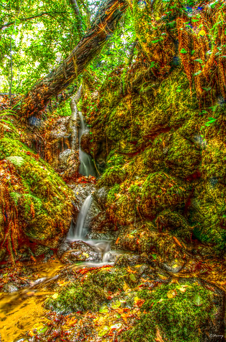 naturaleza verde agua nikon galicia bosque monte pontevedra cascada creciente quintela allxpressus d7000 bestevercompetitiongroup