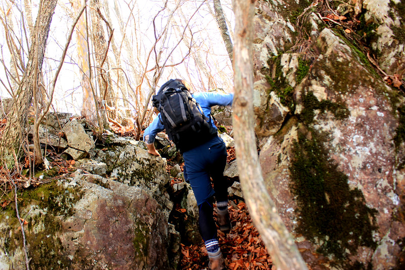 三頭山 登山