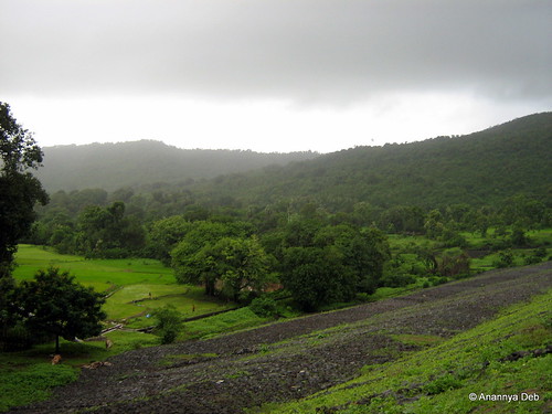 landscape monsoon greenery