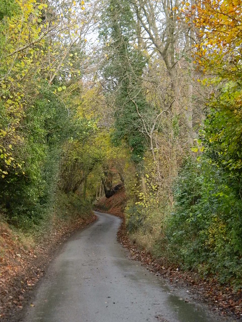road Henley Circlular via Hambleden (short)