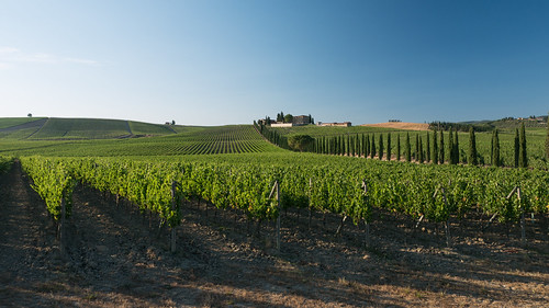 Chianti landscape by Di Chap, Tuscany, Italyitalie italy tuscany wine sunset wineyard chianti