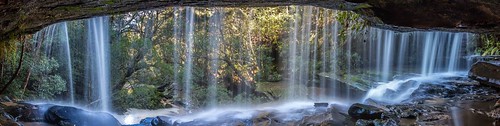 falls water waterfall reflection forest somersbyfalls