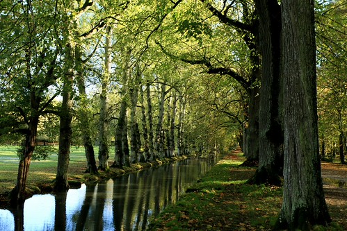 IMG_4764_R by Nguyen Tuan Anh France, chenonceau 2470mm canon5dmk2