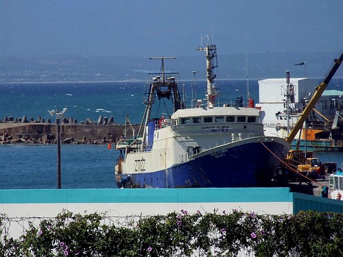 boats harbour ships mosselbay