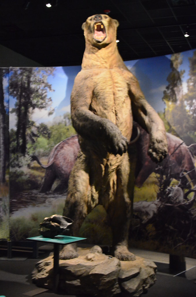 Boston Museum of Science | Mammoths and Mastodons: Titans … | Flickr