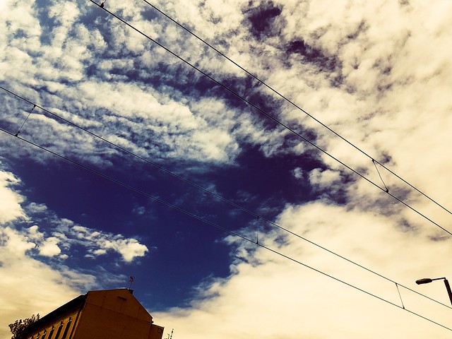another #bird #clouds