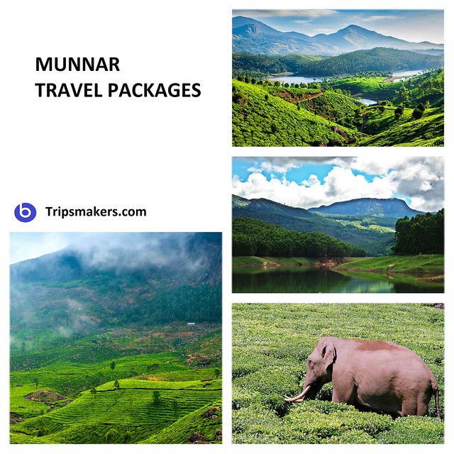 Munnar Travel