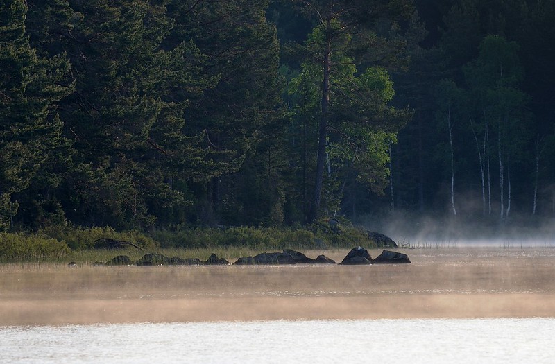 20180523-041F | Morgenstimmung im Tiveden-Nationalpark. Västergötland - Närke / Schweden, 23.05.2018