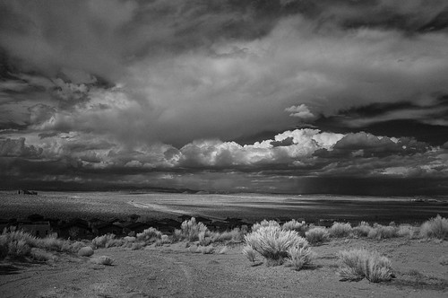 storm to the north by johngpt, .
Sorry I haven't been around. 
I was run off the road onto a sidewalk.
The printer I've purchased d