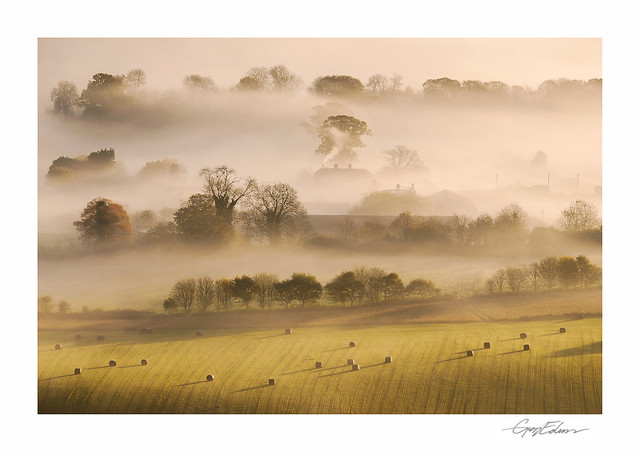Farmyard Mist, Pewsey Vale