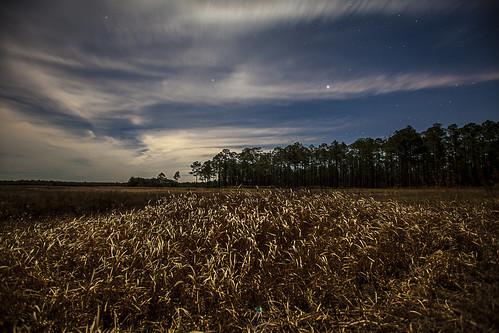 sky moon night clouds forest stars december florida national 2012 ocala
