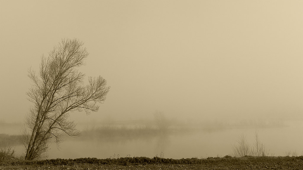 la sponda tranquilla del fiume | Sabrina | Flickr