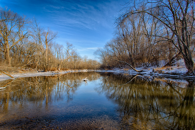 Winter Morning on the Des Plaines River