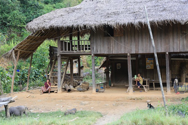 Hill Tribe Thatched and Wood Built Dwelling on Stilts Shan State Burma Myanmar
