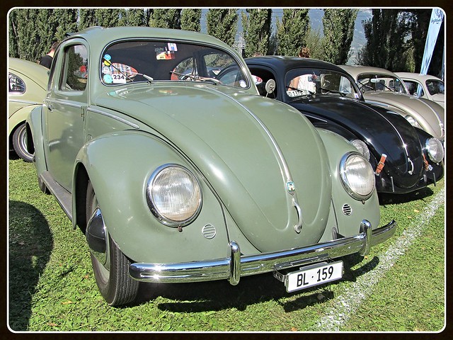 VW Beetle Split Windows