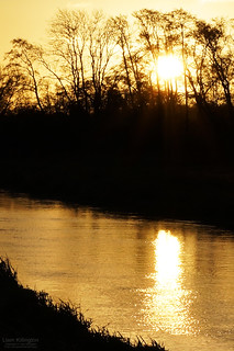 Sunrise on the River Bure, Little Hautbois