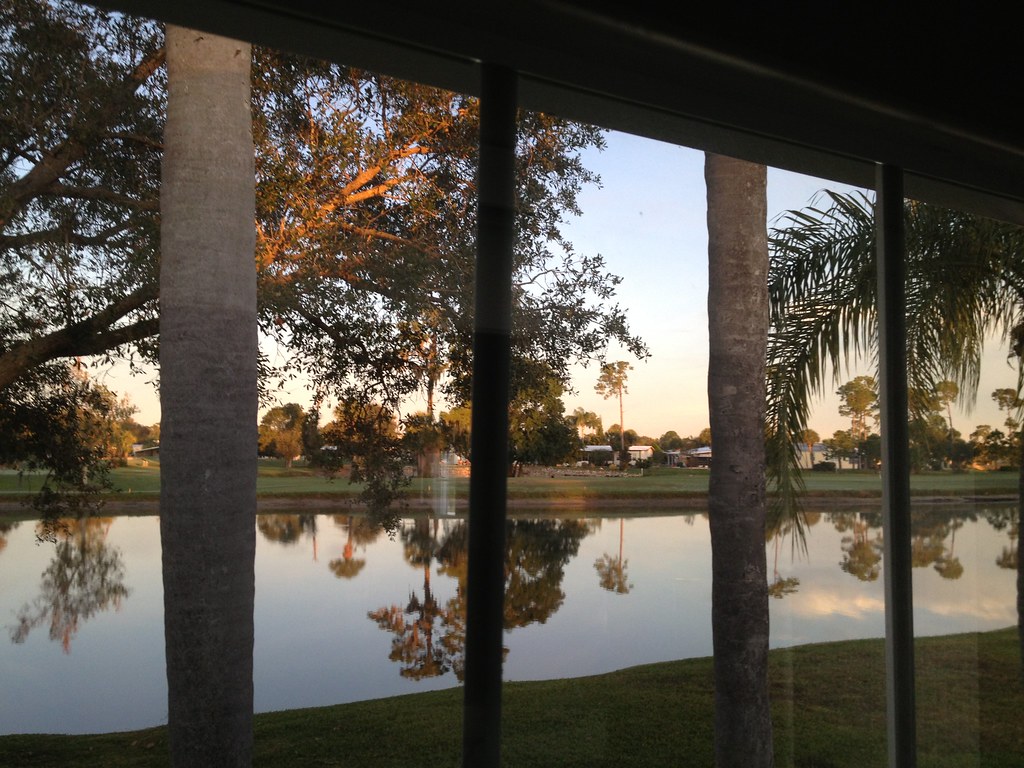 IMG_0268 | Standard view. Rear window. | mequantum | Flickr