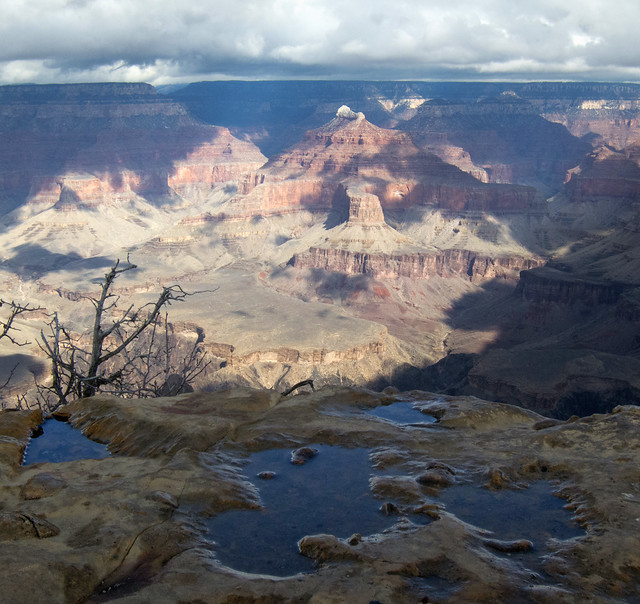 Grand Canyon Nat. Park: View from Powell Point After the Rain 2491