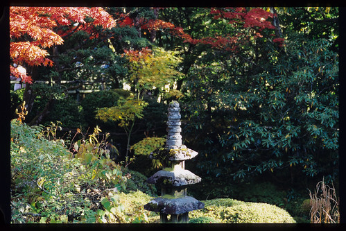 121104-M6-Sonnar-ZM85mm-E100VS-30