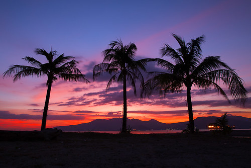 longexposure sunset colors silhouette dusk philippines palmtrees subicbay olongapocity goldenhour coconuttrees centralluzon subicbayfreeportzone canonef2470mmf28liiusm canoneos5dmarkiii leesoftndgradfilter canongpsreceivergpe2