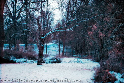 winter snow landscapes nikon midwest seasons c kelly february davenport kentuckiana 2013 kellydavenportphotography