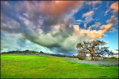 california ca wallpaper color tree clouds landscape oak nikon sigma ojai 1020mm hdr venturacounty d90