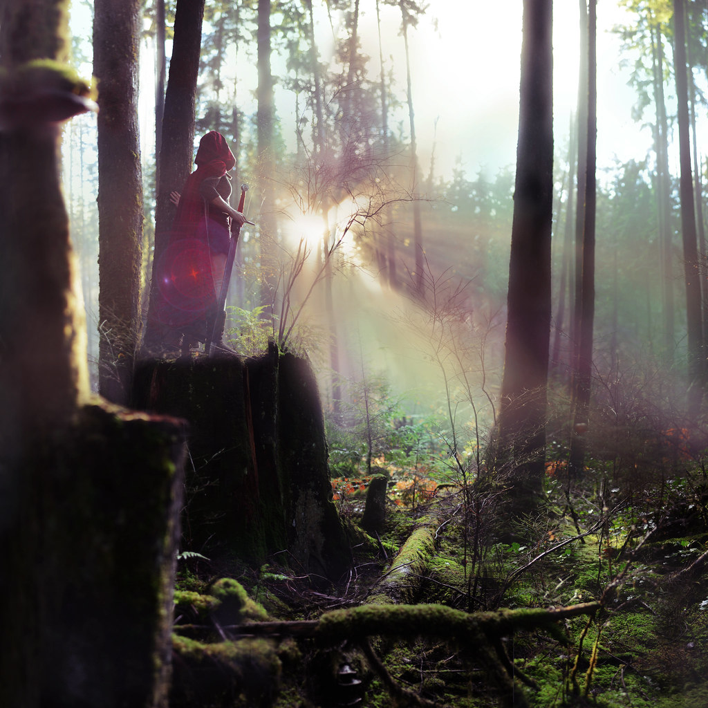 Adventure forest. Лес приключения красивый. Приснилось приключение в лесу. Forest Adventure. Kindra Nikole.