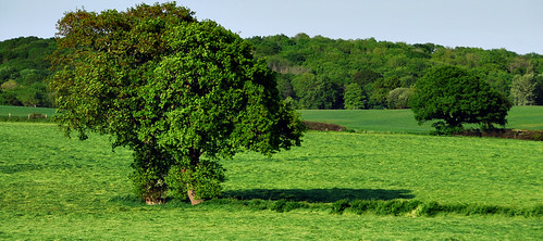 Fields at Bonnington | by richwat2011