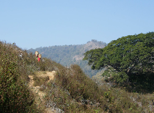 nepal hills bandipur theindiatree westnepal