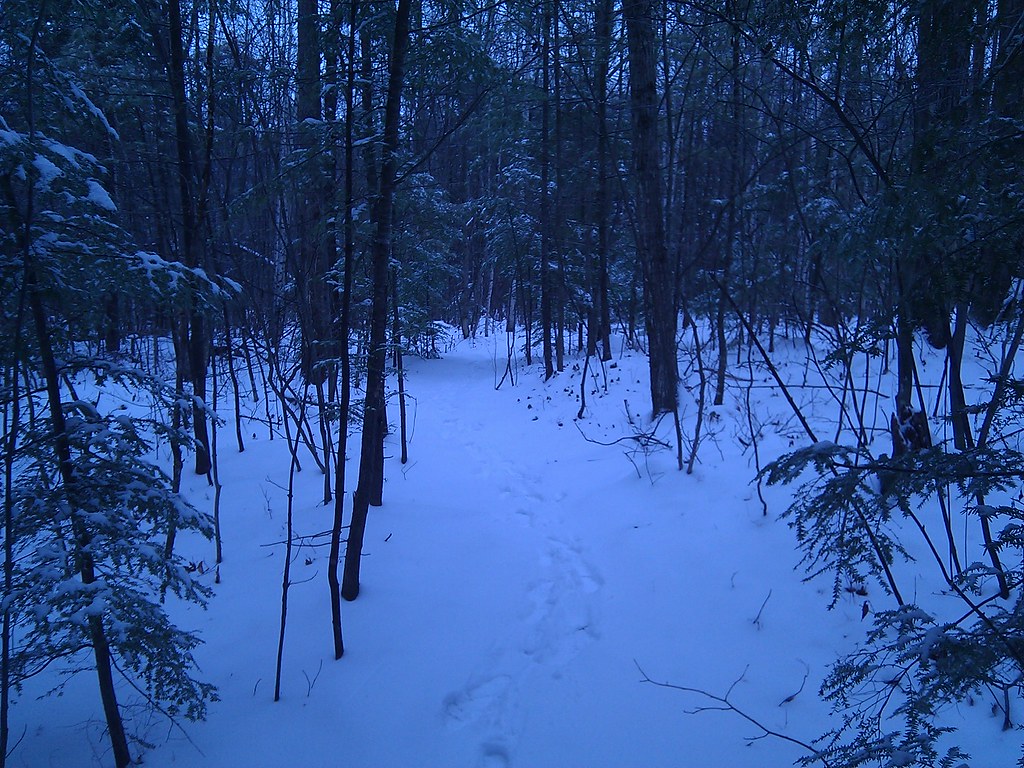 Cross-Country Course, near Birdability Week Birding Outing at the McLane Center with Wheelchair Health in Motion