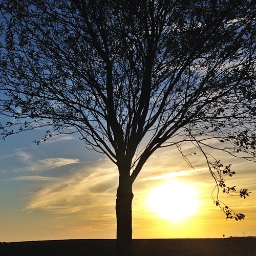 Soleil capturé au retour du travail. #igersniort #poitoucharentes #sun by Timbrado.hb, Soleil capturé au retour du travail. #igersniort #poitoucharentes #sun