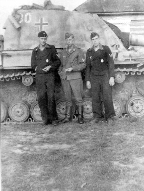 Sturmpanzer-Abteilung 219