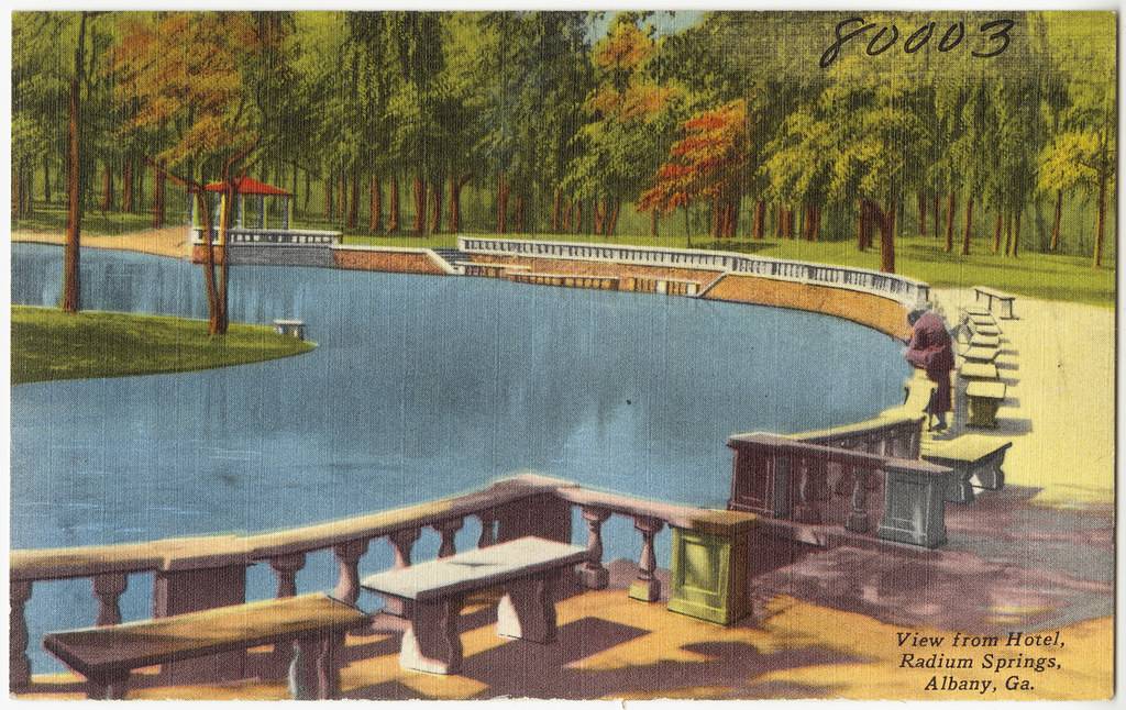 View from hotel, Radium Springs, Albany, Ga. Postcard from the collection of the Boston Public Library; (CC BY 2.0)