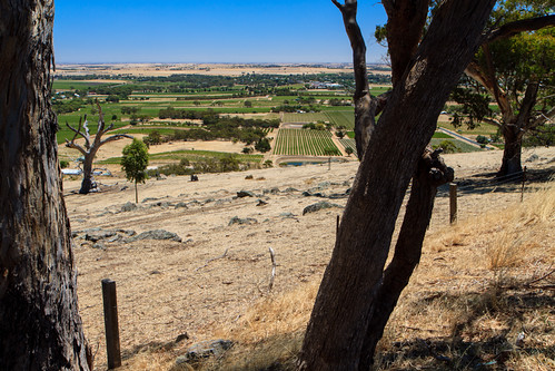 landscape vineyards southaustralia barossavalley tanunda menglershill
