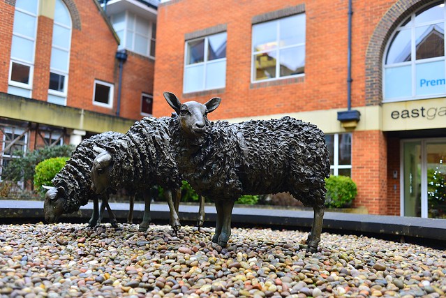 Edwin Russell Sheep sculptures Guildford