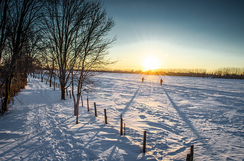 Skieurs by Le Aaron Projet, Skierswinter ski skiing quebec hiver neige crosscountryskiing skidefond berthier