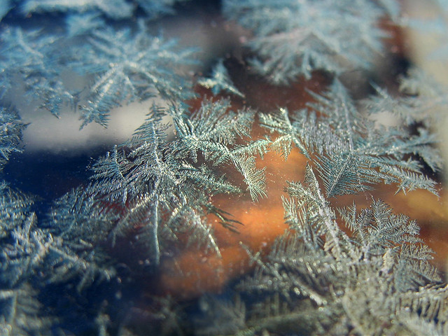 Creativity of Nature at cold Temperature