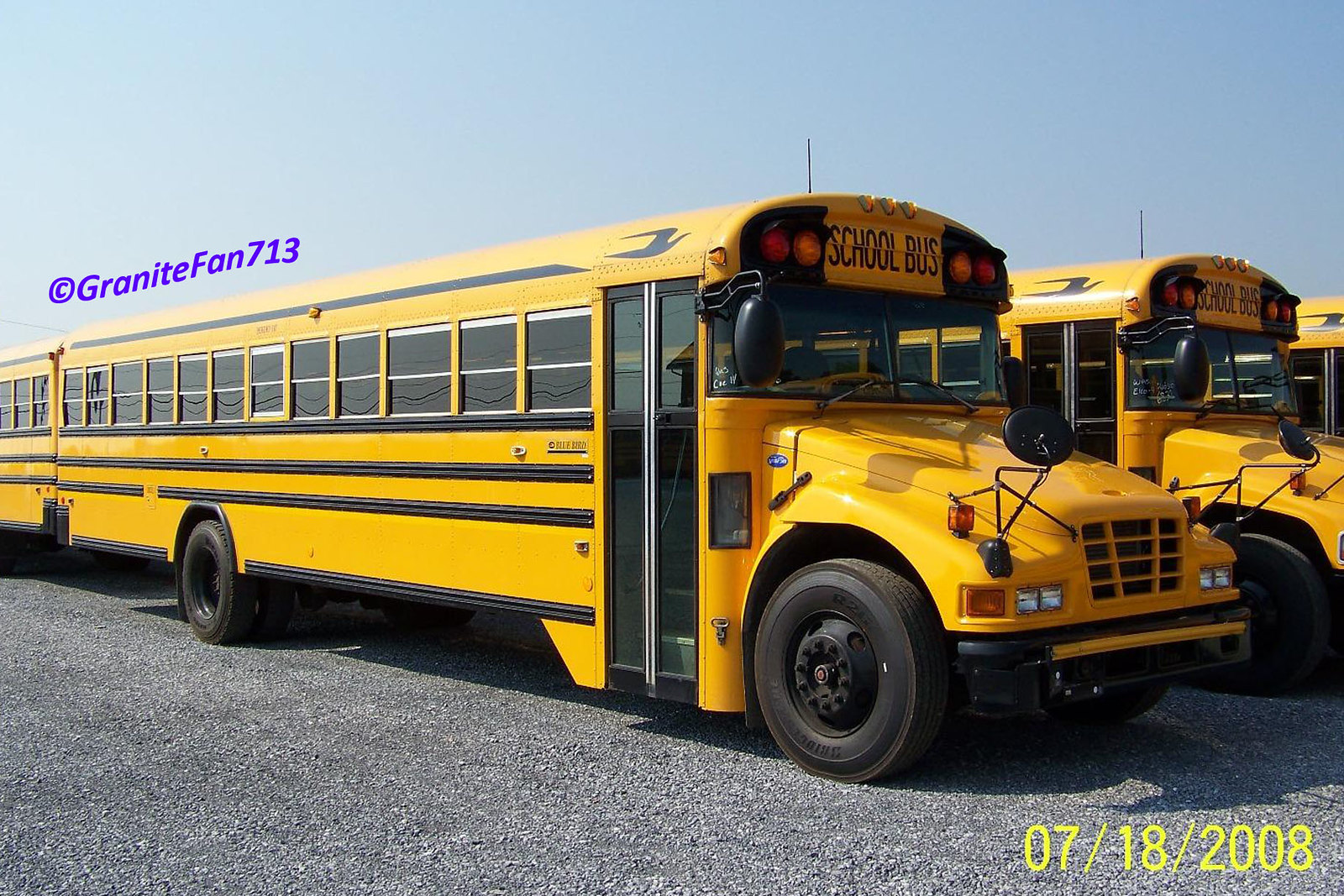 Blue Bird Buses | Flickr
