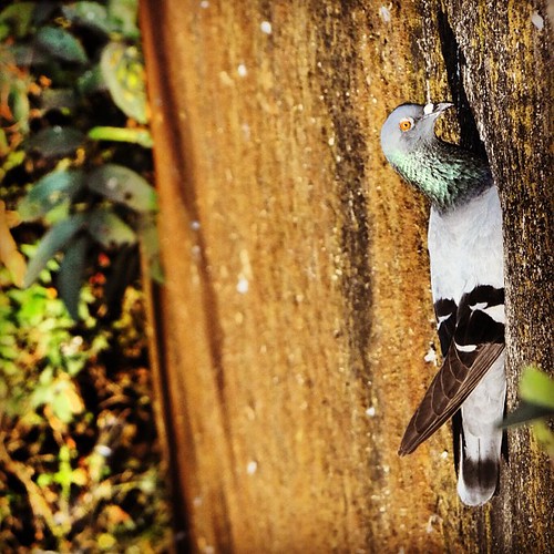 Look I'm stuck in a wall... | by vijayth3var