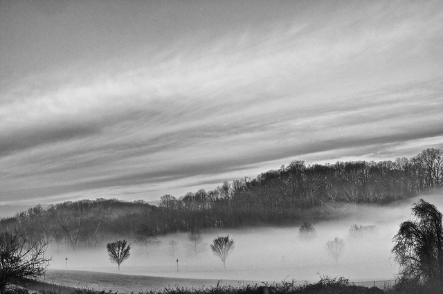 BW-003 A Drive to Work