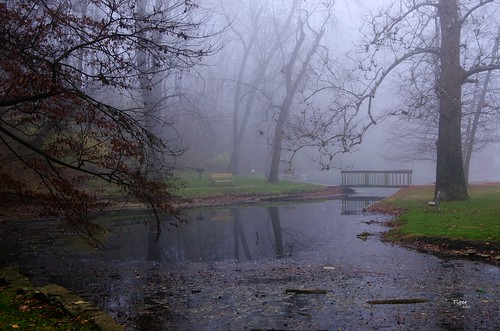bridge nature water fog landscape illinois pond nikon footbridge foggy bridges southpark foggymorning quincyillinois nikond7000