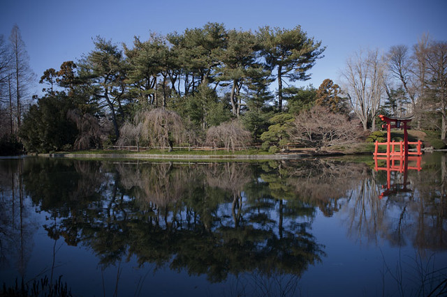 The Japanese Hill-and-Pond Garden, Brooklyn Botanic Garden