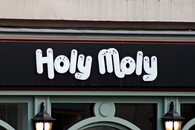 Enseigne Holy Moly