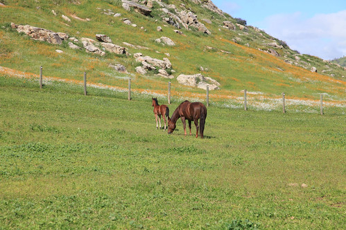 Booth Ranches | Flickr