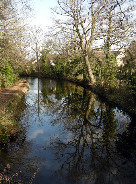 17 02 2013 (48) Basingstoke Canal view