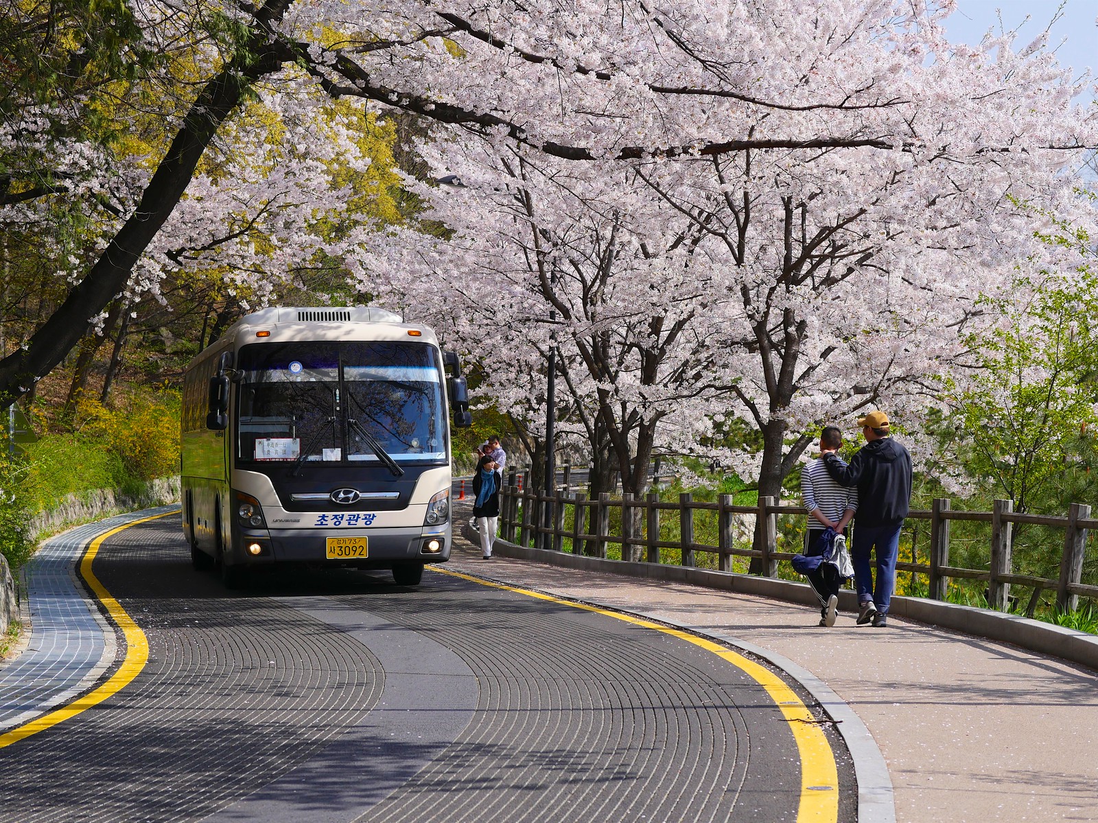 Namsan Park